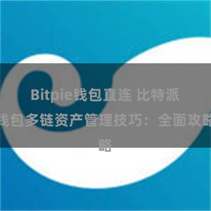 Bitpie钱包直连 比特派钱包多链资产管理技巧：全面攻略