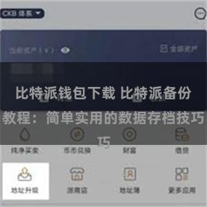 比特派钱包下载 比特派备份教程：简单实用的数据存档技巧