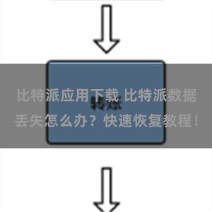 比特派应用下载 比特派数据丢失怎么办？快速恢复教程！