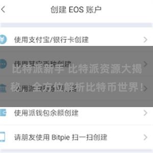 比特派新手 比特派资源大揭秘，全方位解析比特币世界！