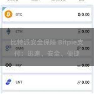 比特派安全保障 Bitpie支付：迅速、安全、便捷