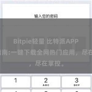 Bitpie轻量 比特派APP下载指南:一键下载全网热门应用，尽在掌控。