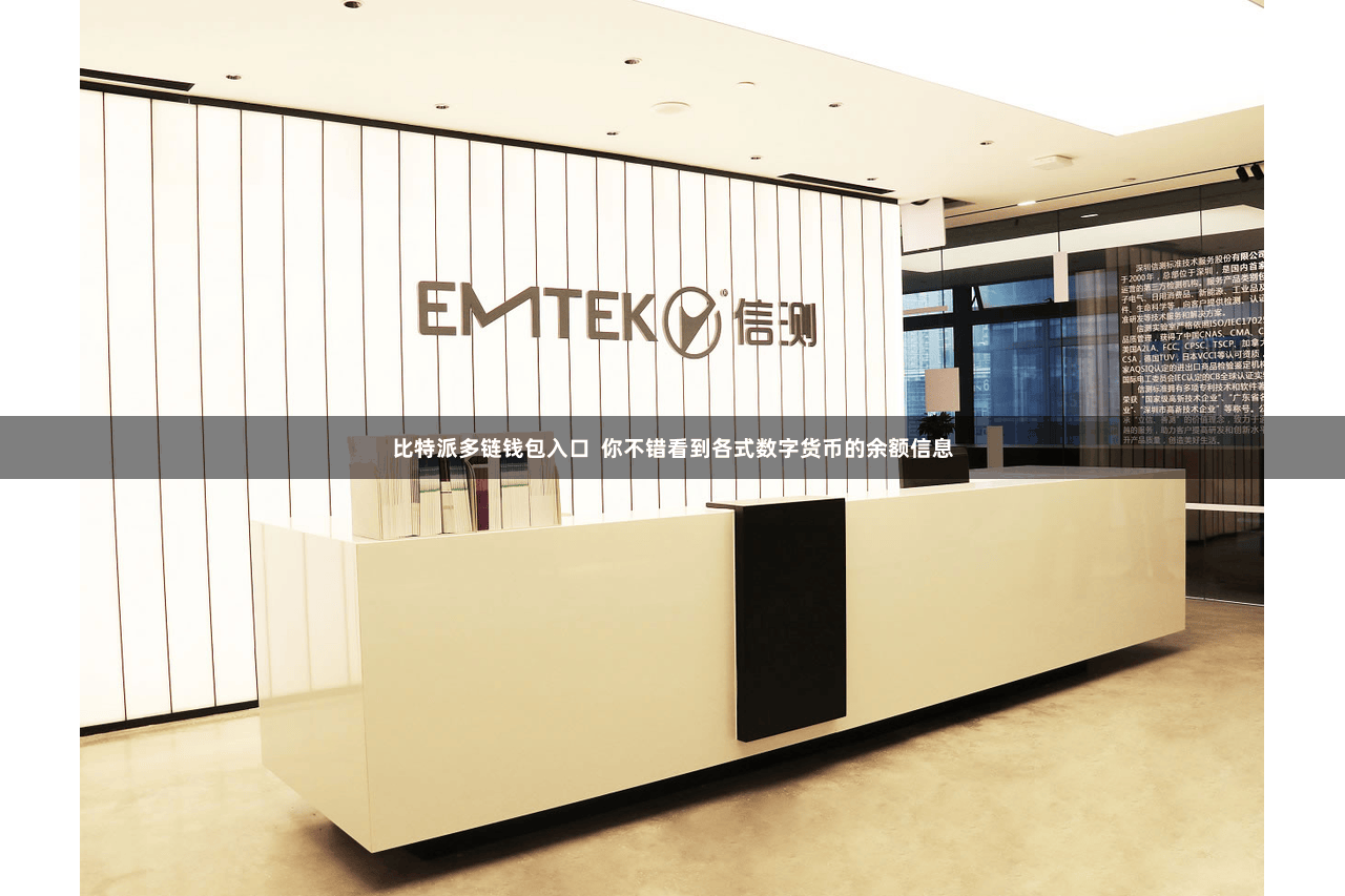 比特派多链钱包入口  你不错看到各式数字货币的余额信息